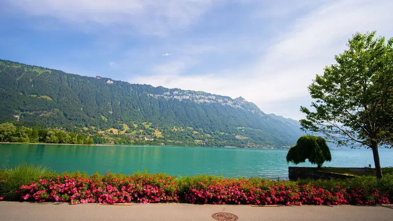 seehotel-aussicht-direkt-auf-brienzersee