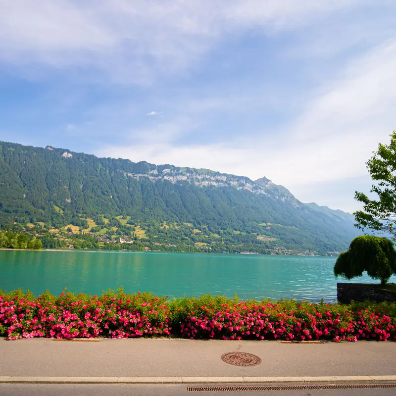 seehotel-aussicht-direkt-auf-brienzersee