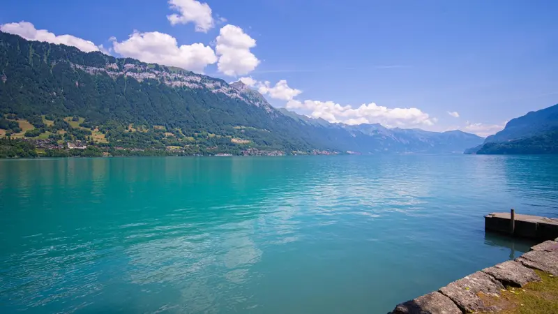 seehotel-blick-auf-brienzersee